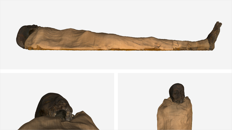 Egyptian mummy