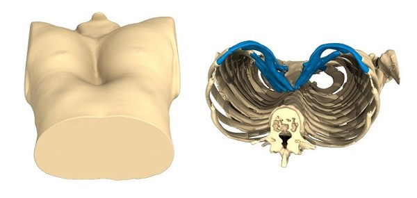 picture2.jpg
